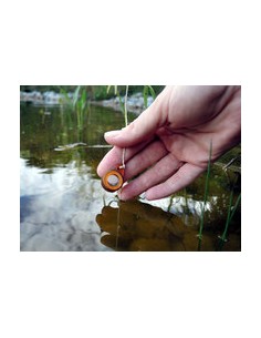 Registrador iButton de...