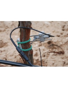 Dendrómetro para Plantas 2