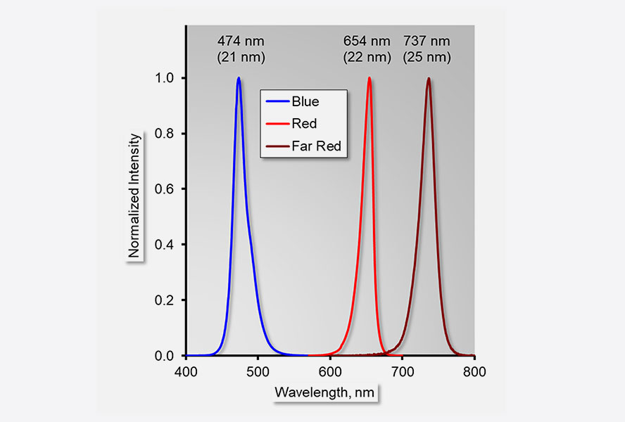 Figure 1: Typical LED emission spectra normalized to their maxima. The blue curve corresponds to the spectrum of the blue LED of the DIVING-PAM-II/B, the red curve represents the red LED in the DIVING-PAM-II/R. Both DIVING-PAM-II versions possess a far-red LED which emits maximally above 700 nm (rightmost curve). Peak wavelength and full width at half maximum (in brackets) are indicated.